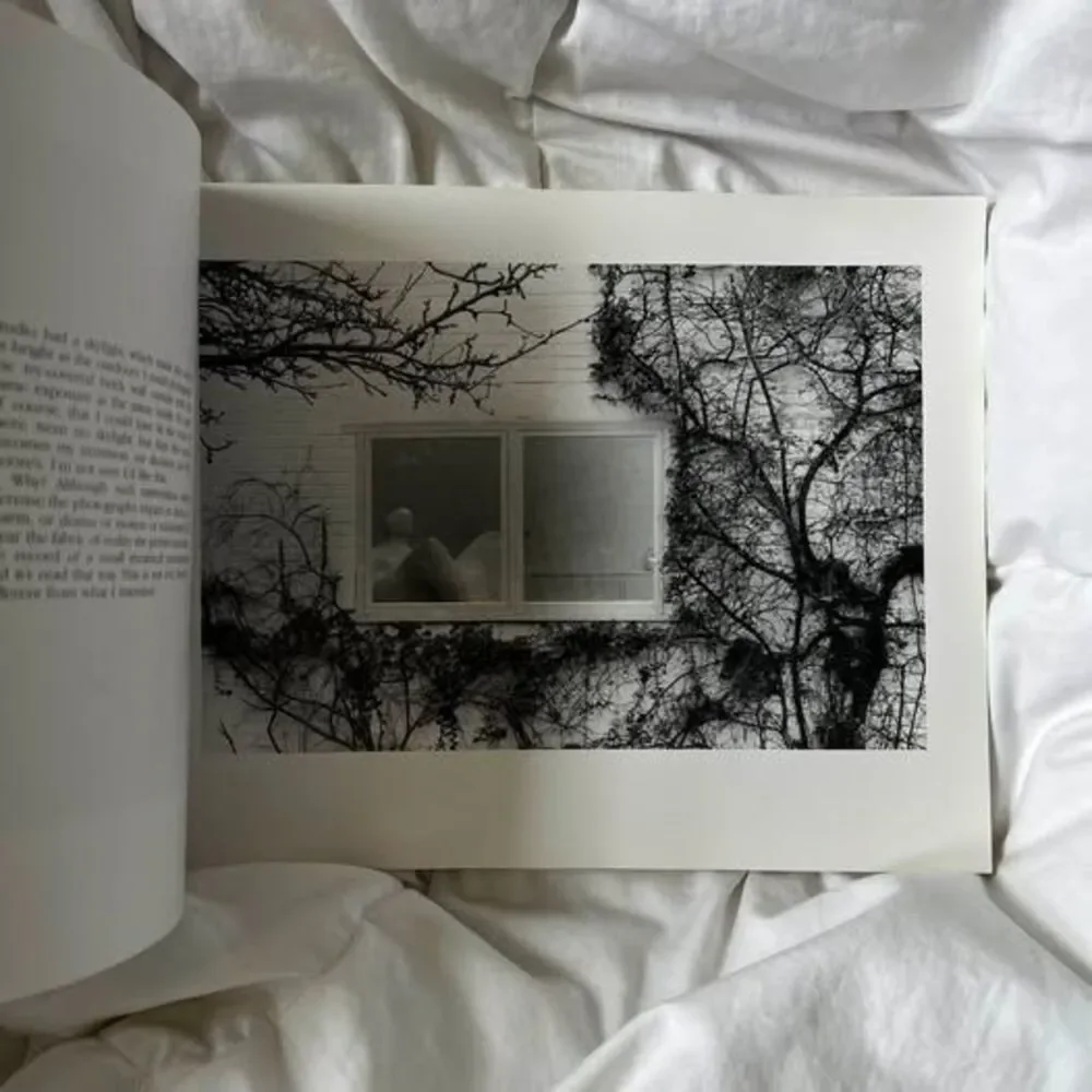 John Loengard, Pictures Under Discussion
